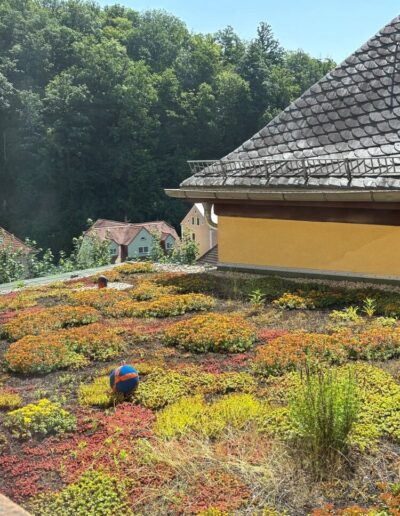 Dachdeckerei Andre Goebel Flachdach Gruendach in Bielatal